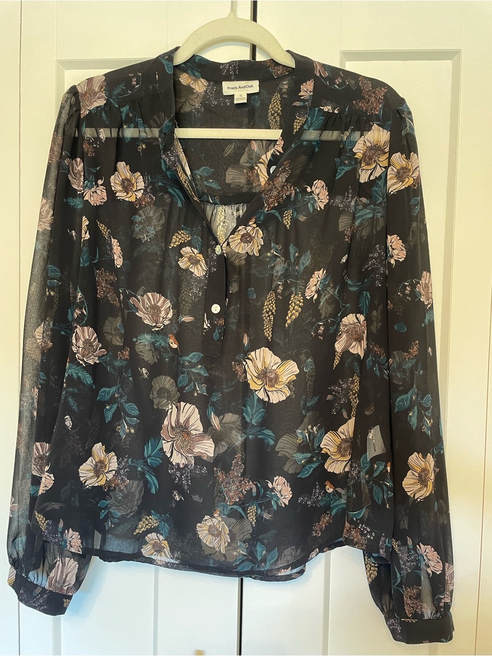 Frank & Oak Black Floral Sheer Button-Front Blouse